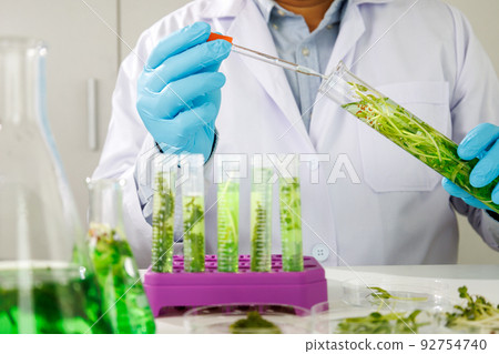 research scientist team working research and Biotech science Photobioreactor in laboratory of algae fuel, biofuel sustainable biochemical research scientist team working research and Biotech science Photobioreactor in laboratory of algae fuel, biofuel sustainable biochemical 92754740