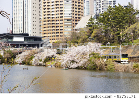 Scenery of cherry blossoms at Ushigome Moat 92755171