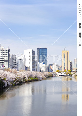 Scenery of cherry blossoms along Ushigome Moat towards Iidabashi Station 92755177