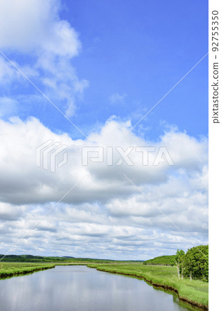 北海道東部 藥津別川濕地 夏季 北海道東部 藥津別川濕地 夏季 92755350
