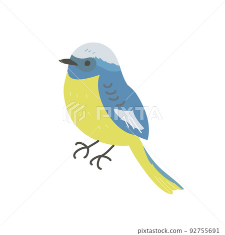 Simple illustration of redstart 92755691