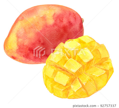 水彩 mango_cut 芒果和芒果 水彩 mango_cut 芒果和芒果 92757337
