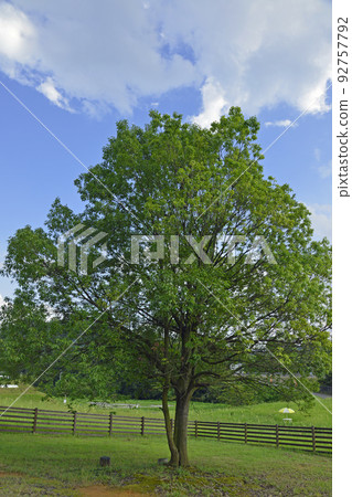 [Kyoto Prefecture] Ayabe Fureai Ranch Ayabe City, Kyoto Prefecture 92757792