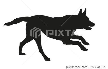 Dog silhouette. Running belgian sheepdog puppy. 92758134