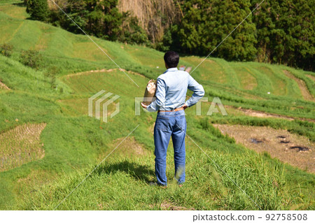 Senmaida new rice harvest back view Senmaida new rice harvest back view 92758508