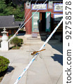 dragonfly 92758578