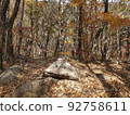 Mt. Seolark 92758611