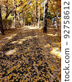 Leaves 92758612