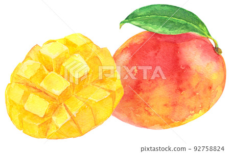 Watercolor mango_cut mango and mango with leaves 2 92758824