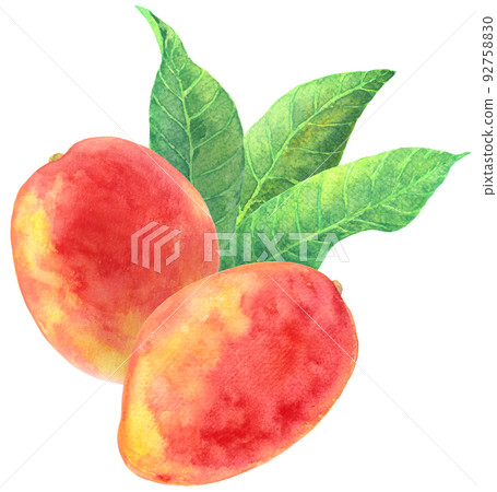 水彩芒果和葉子 92758830