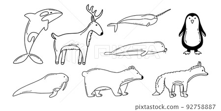 Set of arctic animals. Doodle style. Vector illustration. Cute narwhal, reindeer, polar bear, seal and walrus. Set of arctic animals. Doodle style. Vector illustration. Cute narwhal, reindeer, polar bear, seal and walrus. 92758887