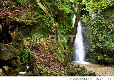 押淵白瀧[三重縣渡賴郡南瀨町押淵] 92759055