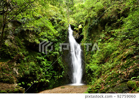 押淵白瀧[三重縣渡賴郡南瀨町押淵] 92759060