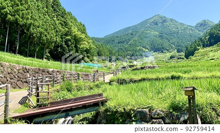 Aota of terraced rice fields that shine against the blue sky and deep green [Yotsuya Senmaida / Shinshiro City, Aichi Prefecture] 92759414