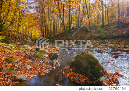 water stream in the forest. beautiful nature scenery in autumn. trees in colorful foliage on a sunny day 92760464