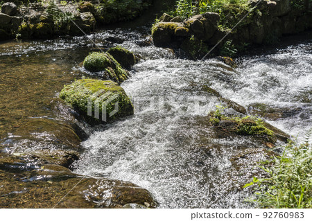 Kyoto in summer, Kamigamo Shrine (Kamowakeikazuchi Shrine), Omonoi River (Omonoi River) in the precincts, Kyoto City, Kyoto Prefecture Kyoto in summer, Kamigamo Shrine (Kamowakeikazuchi Shrine), Omonoi River (Omonoi River) in the precincts, Kyoto City, Kyoto Prefecture 92760983