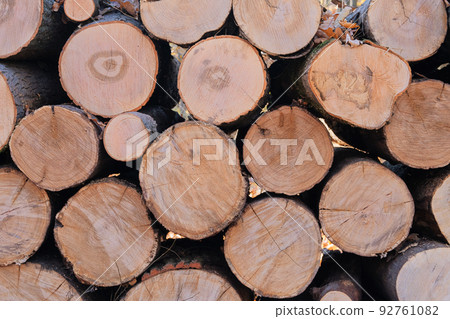 Woodpile fresh cut pine logs at sawmill factory. Natural wooden background, closeup of chopped firewood. Firewood stacked. Pile of wood logs. 92761082