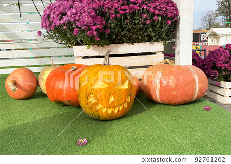 Halloween scenery. Seasonal decorations with pumpkins and flowers on a street in a European city. Autumn harvest and farming. Halloween scenery. Seasonal decorations with pumpkins and flowers on a street in a European city. Autumn harvest and farming. 92761202