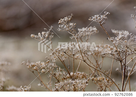 Beautiful winter landscape with Girskiy Tikych river running through frosted trees and rocks. Beautiful winter landscape with Girskiy Tikych river running through frosted trees and rocks. 92762086