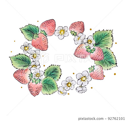 Illustration of strawberry and strawberry flower wreath Illustration of strawberry and strawberry flower wreath 92762101