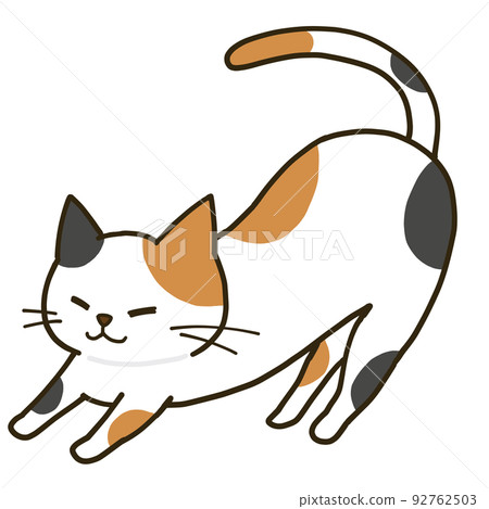 A simple calico cat that stretches A simple calico cat that stretches 92762503
