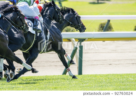 Scenery of the racetrack, horses running in a straight line, Niigata City, Niigata Prefecture 92763024