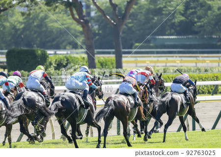Scenery of the racetrack, horses running in a straight line, Niigata City, Niigata Prefecture 92763025