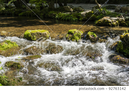 夏季的京都，上賀茂神社（Kamowakeikazuchi Shrine），御物之井川（Omonoi River）的轄區，京都府京都市 92763142