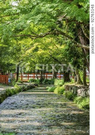夏季的京都，上賀茂神社（Kamowakeikazuchi Shrine），御物之井川（Omonoi River）的轄區，京都府京都市 92763148