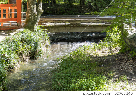 夏季的京都，上賀茂神社（Kamowakeikazuchi Shrine），御物之井川（Omonoi River）的轄區，京都府京都市 92763149