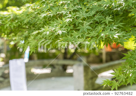 夏季的京都，上賀茂神社（Kamowakeikazuchi Shrine），御物川（Omonoi River）和區域內的綠地，京都府京都市 92763482