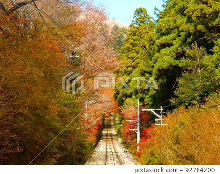 Tsukubasan Ropeway Autumn leaves 92764200