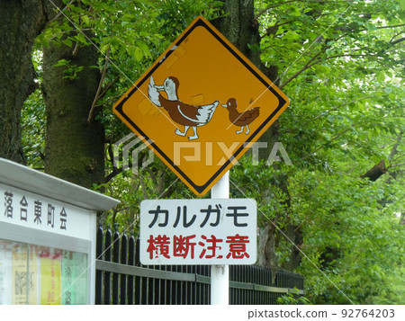 Spot-billed duck crossing attention road sign 92764203