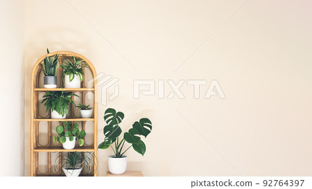 A variete of home plants: monstera, dieffenbachia, sansevieria, pilea on a wicker bookcase in the room, indoor garden concept, copy space 92764397