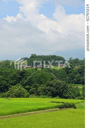 竹下的田園風光，小山町的原始風景，夏天般的風景 92765814