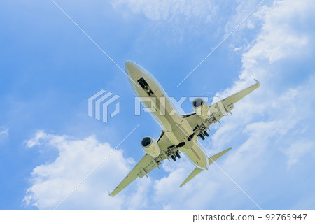 "Airplane" Boeing Boeing 737-800 (737NG) "Airplane" Boeing Boeing 737-800 (737NG) 92765947