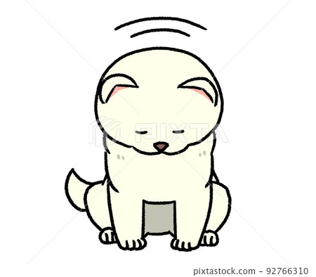 White Shiba Inu bowing 92766310