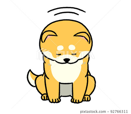 棕色柴犬鞠躬 92766311