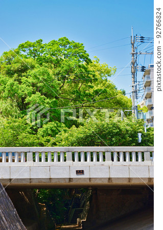 Kyoto Ichijo Bridge 92766824