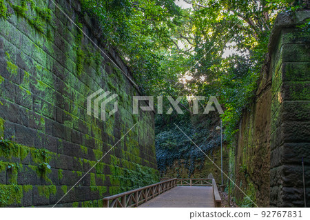 Scenery of Sarushima covered with moss Scenery of Sarushima covered with moss 92767831