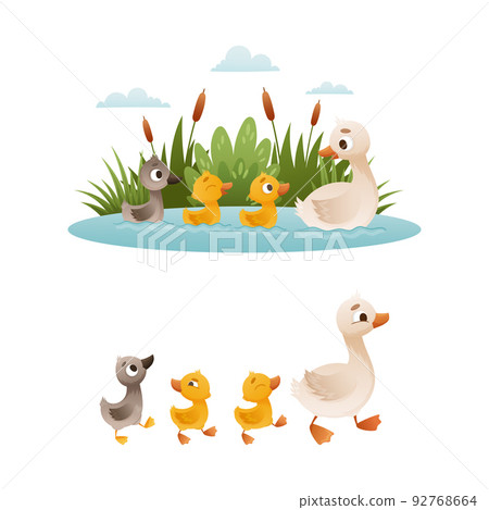 Duck Floating in Pond with Reeds and Grey Ugly... - Stock Illustration ...