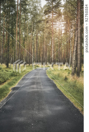 Asphalt path in a forest, summer nature travel concept, color toning applied. 92768884