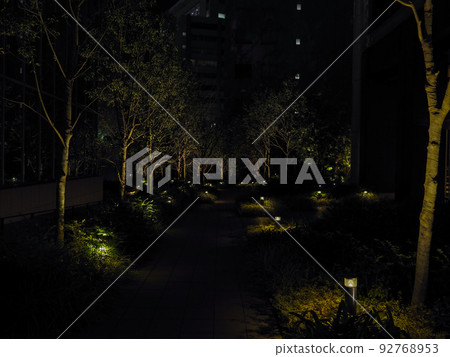 night promenade. night landscape. unreal. night promenade. night landscape. unreal. 92768953