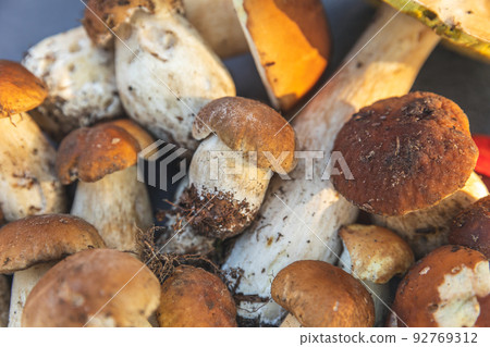 Autumn fall composition. Raw edible mushrooms Penny Bun on dark black stone shale background. Ceps over gray table. Cooking delicious organic mushroom gourmet food. Flat lay top view 92769312