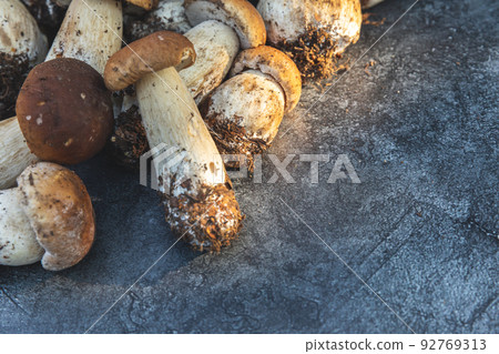 Autumn fall composition. Raw edible mushrooms Penny Bun on dark black stone shale background. Ceps over gray table. Cooking delicious organic mushroom gourmet food. Flat lay top view 92769313