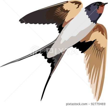 Flying Swallow Bird Animal 92770469