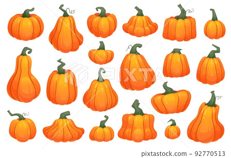 Cartoon crop squash. Pumpkin gourd fresh organic vegetable, orange autumn harvest simple fall pumpkins Thanksgiving or Halloween, pictogram flat icon ingenious vector illustration Cartoon crop squash. Pumpkin gourd fresh organic vegetable, orange autumn harvest simple fall pumpkins Thanksgiving or Halloween, pictogram flat icon ingenious vector illustration 92770513