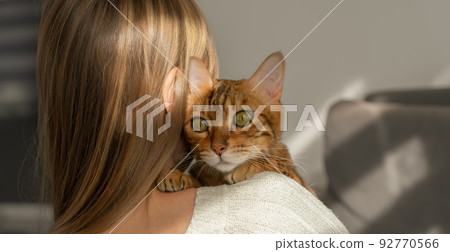 A cat placed on the shoulder of its owner. 92770566