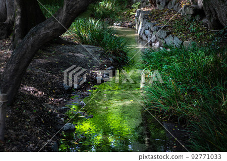 Shimogamo Shrine, Nara's creek flowing through the lush greenery of Tadasu no Mori 92771033