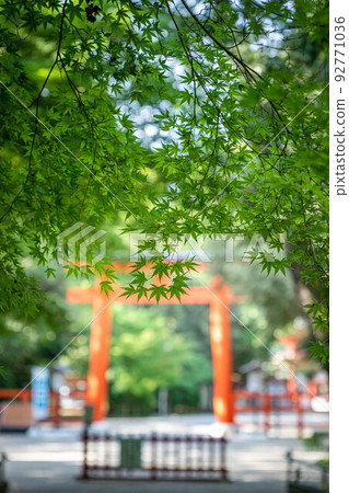 下鴨神社、忠之森綠楓和南入口牌坊 下鴨神社、忠之森綠楓和南入口牌坊 92771036
